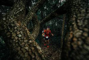 BIB: 
                            <button type="button" onclick="openModal(25679703)" class="btn btn-primary btn-sm float-right btn-popup" data-toggle="modal" data-target=".modal-high-quality">
                        <i class="fas fa-shopping-cart"></i> Add to Cart
                    </button>
                                            <button type="button" onclick="isThisMe(25679703, true)" class="btn btn-success btn-sm float-right btn-popup btn-isme hidden" data-toggle="tooltip" data-placement="bottom" title="นี่คือรูปของคุณใช่ไหม คลิกที่นี่เพื่อเอาเข้าอัลบั้ม">
                        <i class="fas fa-plus"></i> Add to album
                    </button>
                    <button type="button" onclick="isThisMe(25679703, false)" class="btn btn-warning btn-sm float-right btn-popup btn-isnotme hidden">
                        <i class="fas fa-ban"></i> Remove from album
                    </button>